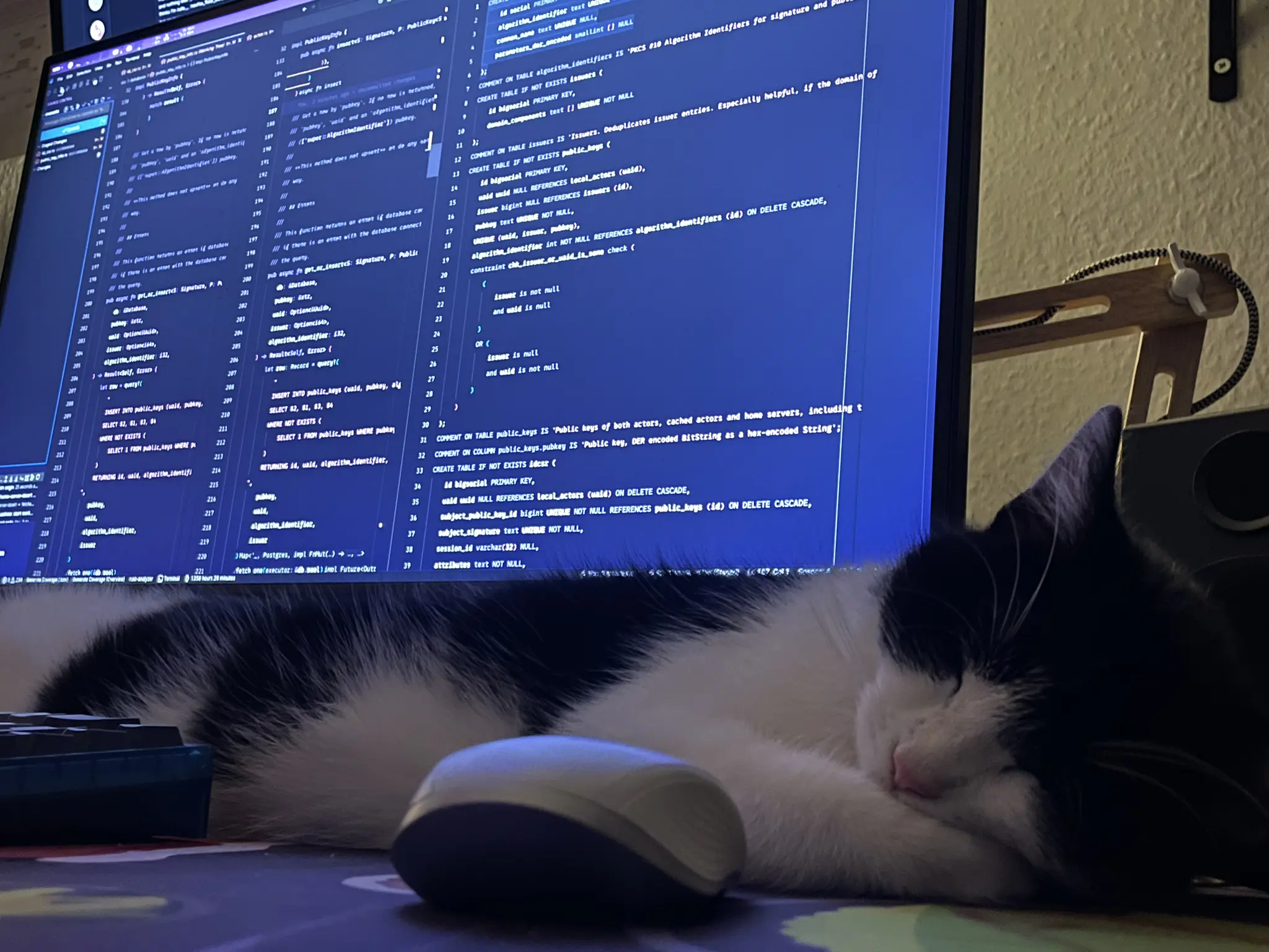 Photo of a black and white tuxedo cat sleeping on a desk in front of a computer monitor displaying white code on a blue background. The screen shows Rust and SQL code including lines like "CREATE TABLE IF NOT EXISTS public_keys" and "id bigserial PRIMARY KEY". A white computer mouse rests near the cat's paws, and a keyboard is partially visible on the left.