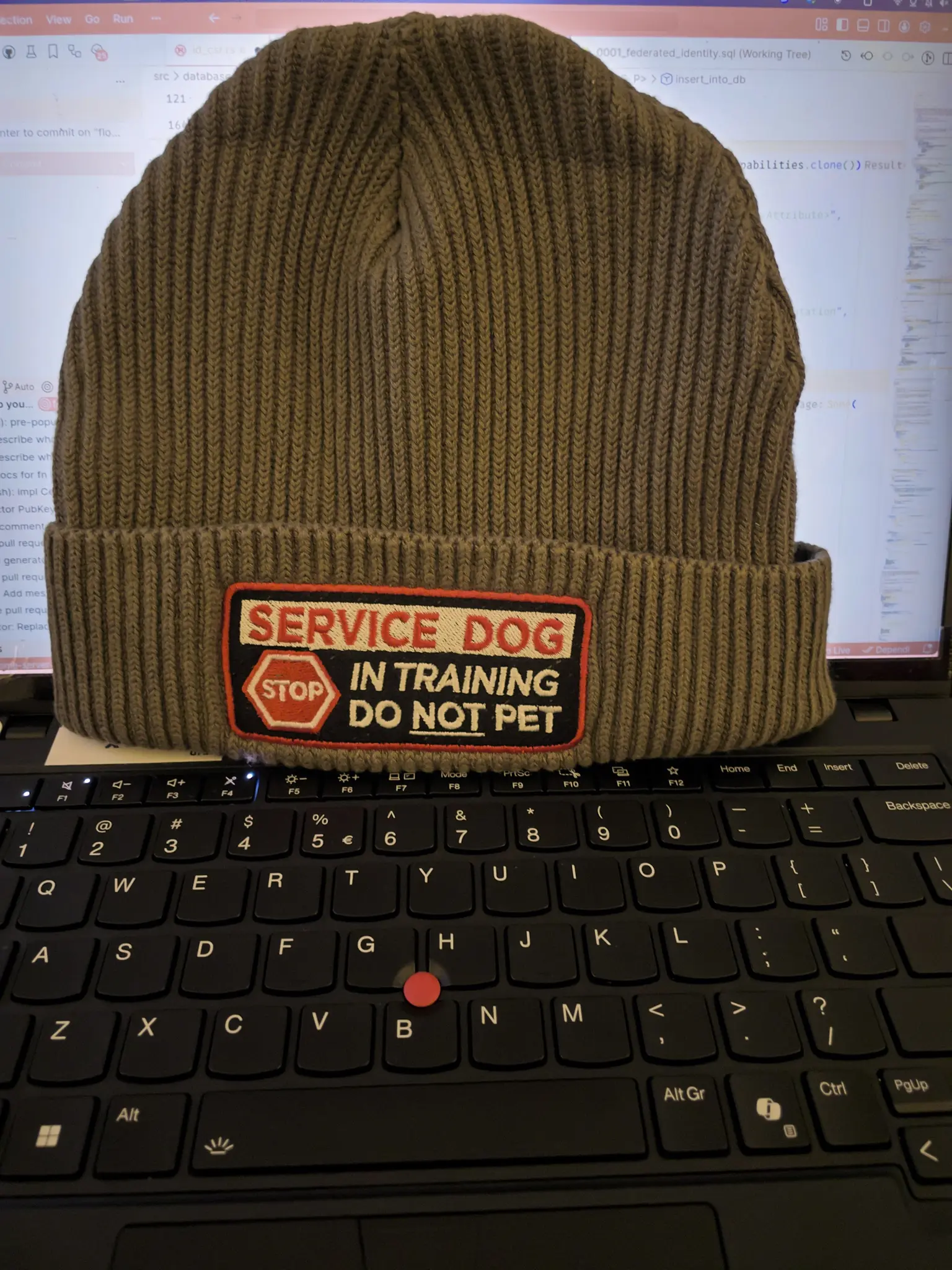 Photo of an olive green ribbed knit beanie resting on a black laptop keyboard with a red trackpoint. The beanie displays a rectangular patch with red and black borders reading SERVICE DOG at the top in red letters on a beige background, a red STOP sign symbol on the left, and IN TRAINING DO NOT PET in black text. A computer screen showing code is visible in the blurred background.