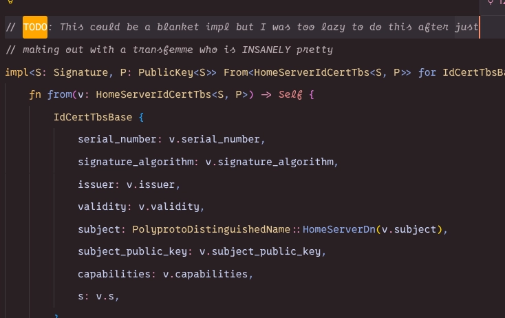 Screenshot of a code editor in orange and brown hues. Code comment, reading:

// TODO: This could be a blanket impl but I was too lazy to do this after just
// making out with a transfemme who is INSANELY pretty
