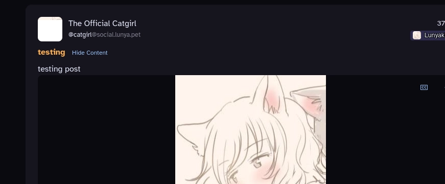 screenshot of The Official Catgirl (@catgirl@social.lunya.pet)'s post reading "testing post" with the CW "testing". attached is an image of a catgirl.