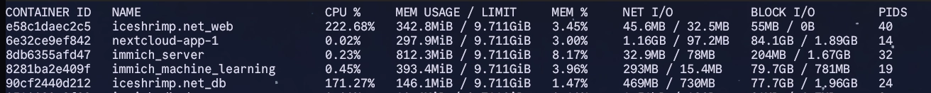 columns from left to right are: CONTAINER ID, NAME, CPU percentage, MEM USAGE divided by LIMIT, MEM percentage, NET I/O, BLOCK I/O, and PIDS.

The first container e58c1daec2c5 named iceshrimp.net_web shows high CPU usage at 222.68% in yellow text, using 342.8MiB out of 9.711GiB memory at 3.45%, network traffic of 45.6MB received and 32.5MB sent, block I/O of 55MB read and 0B written, with 40 process IDs.

The second container 6e32ce9ef842 named nextcloud-app-1 shows 0.02% CPU, 297.9MiB memory usage at 3.00%, 1.16GB received and 97.2MB sent network traffic, 84.1GB read and 1.89GB written block I/O, with 14 PIDs.

The third container 8db63c3fd47 named immich_server uses 0.23% CPU, 812.3MiB memory at 8.17%, 32.9MB network I/O in both directions, 204MB read and 1.67GB written block I/O, with 32 PIDs.

The fourth container 8281ba2e409f named immich_machine_learning uses 0.45% CPU, 393.4MiB memory at 3.96%, 293MB received and 15.4MB sent network traffic, 79.7GB read and 781MB written block I/O, with 19 PIDs.

The fifth container 90cf2440d212 named iceshrimp.net_db shows elevated CPU at 171.27% in yellow text, 146.1MiB memory at 1.47%, 469MB received and 730MB sent network traffic, 77.7GB read and 1.96GB written block I/O, with 24 PIDs.