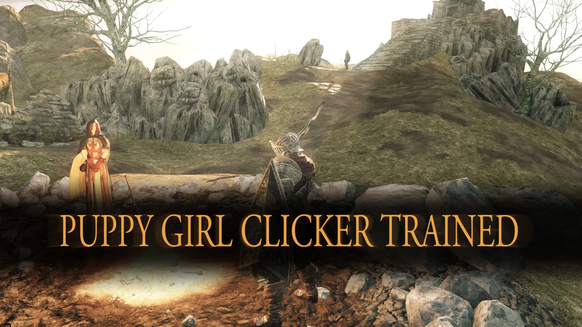 Screenshot from video game Dark Souls 2. Displaying a scene at a bonfire at the ingame location "Majula, Emerald Herald". Rocky, hilly scenery on an overcast day. In the distance, stone stairs leading up a hill. Text on screen reads "PUPPY GIRL CLICKER TRAINED".