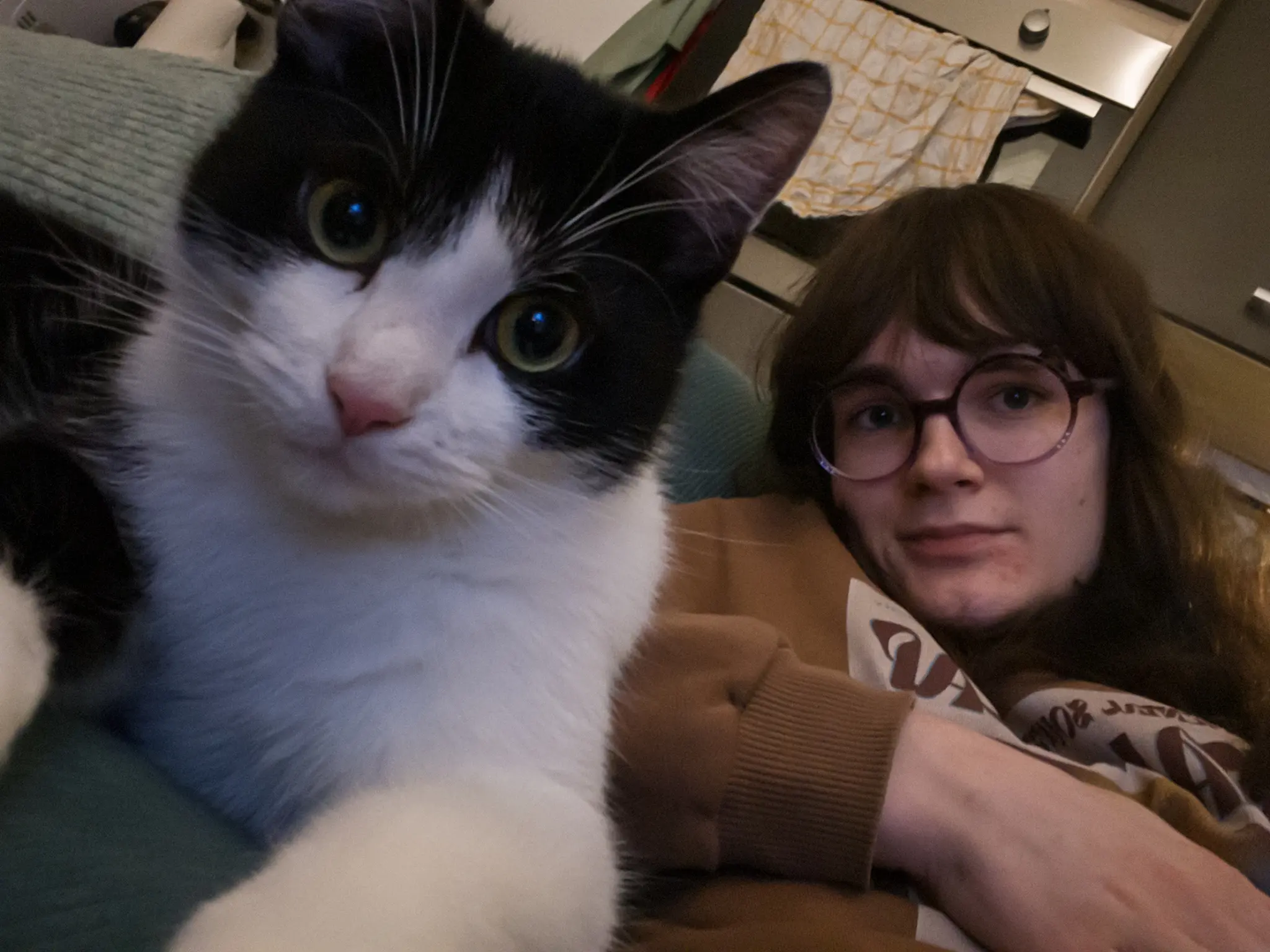 Photo of a black and white cat in the foreground looking directly at the camera with large green eyes, positioned next to a person with brown hair and round glasses who is lying down and smiling at the camera. The cat has black fur on its head and ears with a white face, nose, chest, and whiskers. The person is wearing a beige sweater. They are in an indoor setting with on a teal couch. Behind them is an oven at about chest height, integrated into a kitchen cabinet
