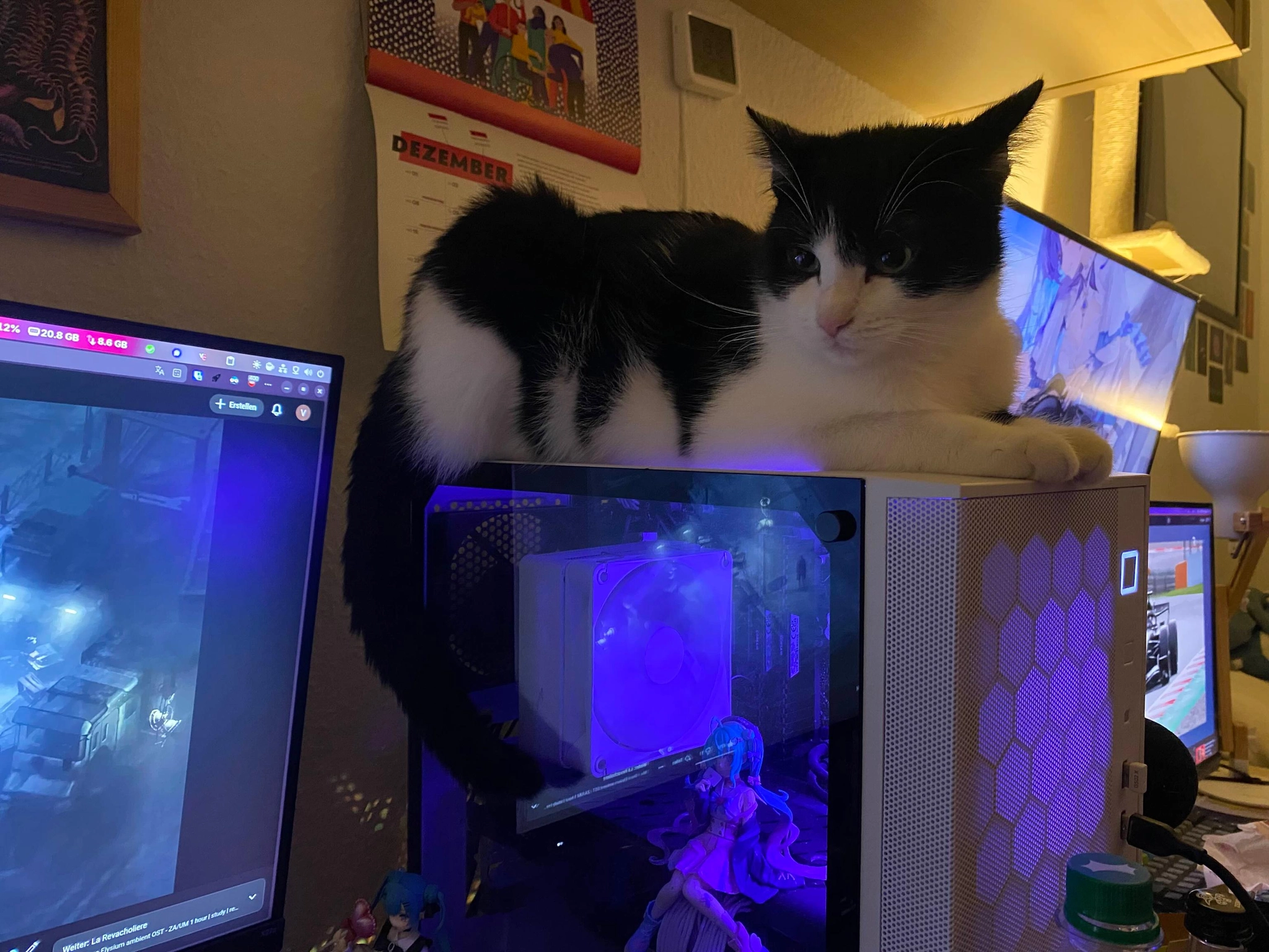 Photo of a black-and-white cat lying on top of a compact white PC case that glows with blue and purple light beside one computer monitor to the left of the PC on a cluttered desk; on the right side of the pc there is another monitor. The left screen shows a dark game scene and parts of a youtube interface, the other an anime-style yuri desktop wallpaper, and a wall calendar with the word "DEZEMBER" in red hangs on the white wall behind, which is casted into warm white, almost orange light by a desk lamp